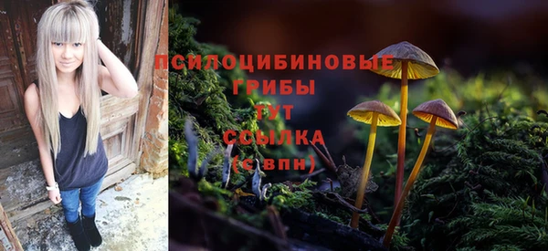 apvp Балабаново